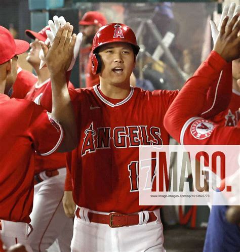 Baseball Twins Vs Angels Los Angeles Angels Designated Hitter Shohei