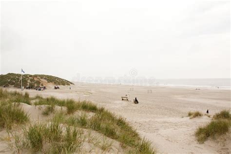 North Sea Beach In Denmark Dune Grass Stock Image Image Of Summer