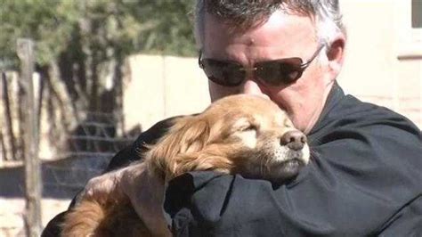 Dog Reunited With Owner After Being Lost For 2 Months