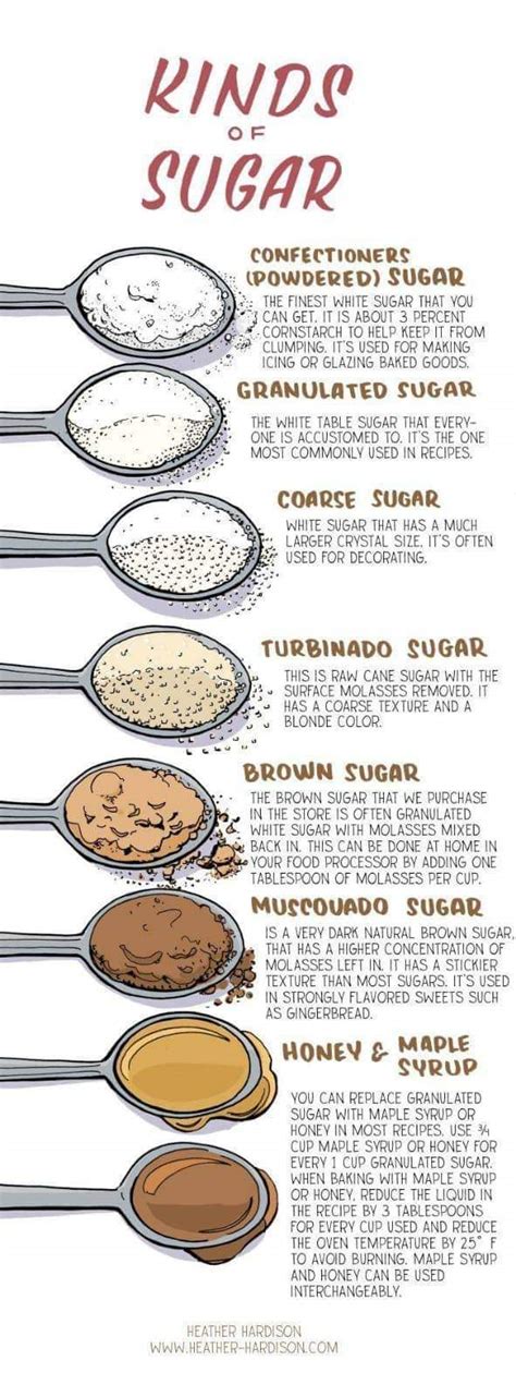 7 Different Kinds Of Sugar Sugar Facts Daily Infographic