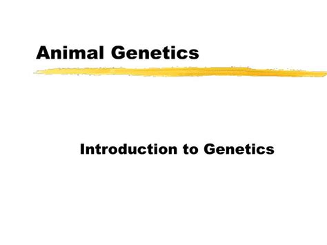 Ppt Animal Genetics Powerpoint Presentation Free Download Id698230