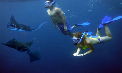 5 Spot Manta Safari Snorkeling Experience From Bali Nusa Penida