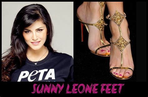 Sunny Leone Feet Wikigrewal