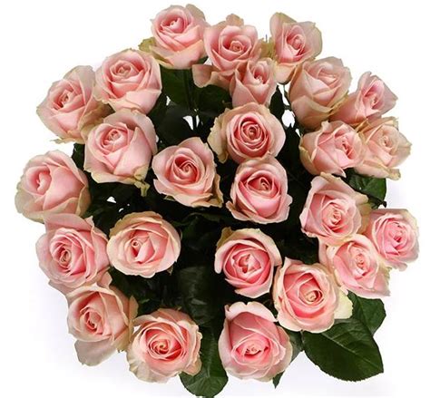 Sweet Pink Avalanche Roses Bouquet Flowers Delivery Flowers Box London