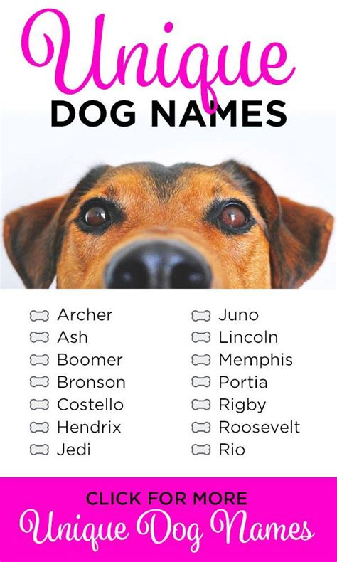 315 Unique Dog Names My Dogs Name Dog Names Best Dog Names
