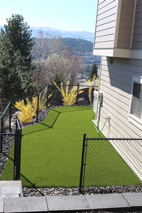 Pet Friendly Low Maintenance Synthetic Turf Dog Run For My Little