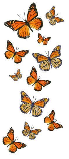 Monarch Butterfly Temporary Tattoos 5 Sheets 55 Butterflies Ebay Butterfly Back Tattoo