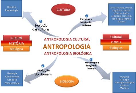 Blog Falando de História O que é Antropologia