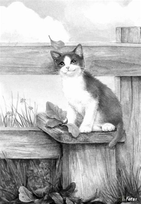 🐈 variety of filters and textures to apply to your coloring page. 221 best images about Cat and Dog drawings on Pinterest ...