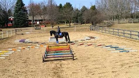 Winter Ground Pole Exercises For Small Arenas Horse Life Horse