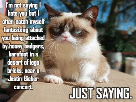 Lol Grumpy Cat Quotes Cat Jokes Grumpy Cat Humor Grumpy Cat Images