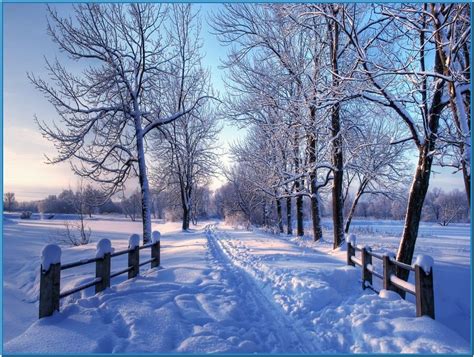 Snowy Winter Screensaver Mac Download Free Winter Landscape Winter