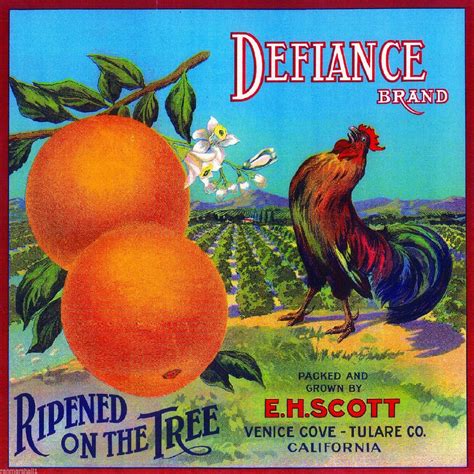 Venice Cove Defiance Rooster Chicken Orange Citrus Fruit Crate Label