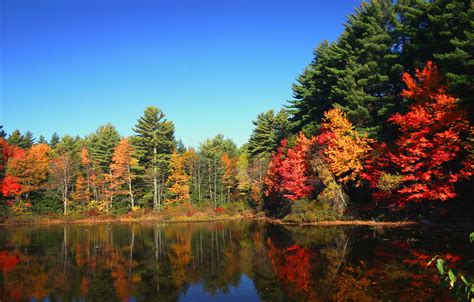 44 New England Fall Foliage Wallpaper Wallpapersafari