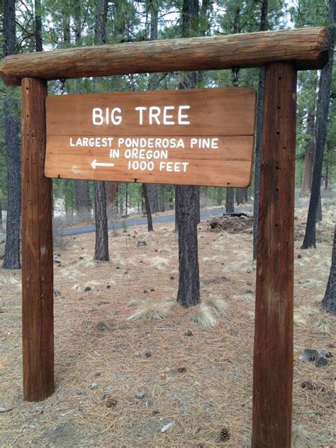 Best camping in la pine on tripadvisor: La Pine State Park; mountain pine forest camping. | La ...