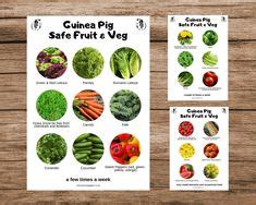 There is a huge variety of plant you can feed your guinea pigs with. Pin on Best Guinea Pig Board