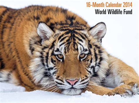 World wildlife fund malaysia (conservation). FREE 2014 World Wildlife Fund Calendar - Hip2Save