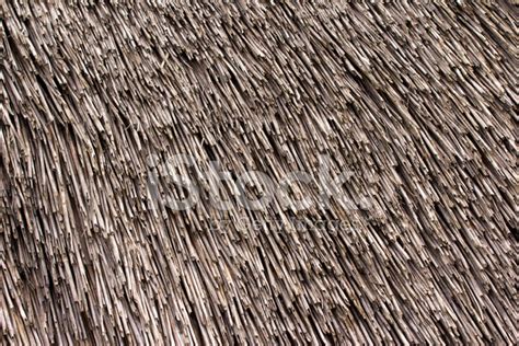 Thatched Roof Texture Closeup Of Straws Stock Photo Royalty Free