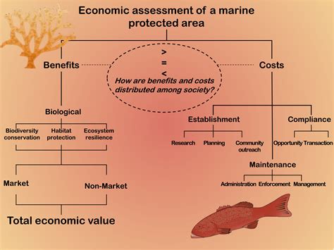 Estimating The Economic Benefits And Costs Of Highly‐protected Marine