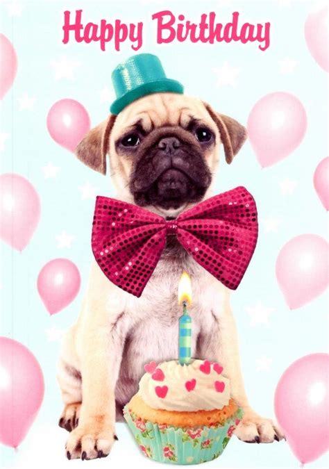 Pug Dog Happy Birthday Greeting Card Cards