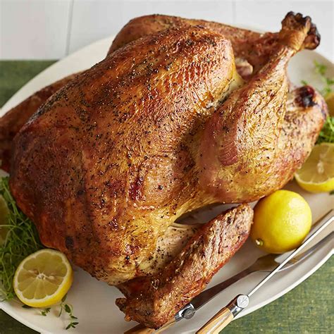 lauren s apple cider roast turkey recipe