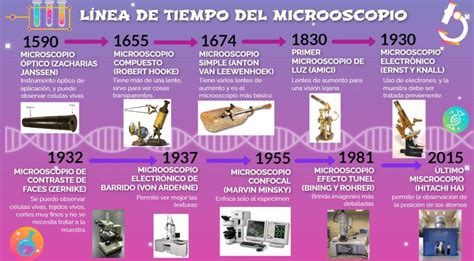 L Nea Del Tiempo Del Microscopio Y C Lulas Hasta La Actualidad