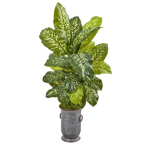 Buy Cheap Nearly Natural Dieffenbachia Artificial Plant In Vintage