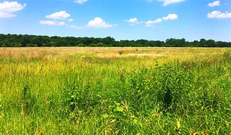A Fathers Day Nod To The Past Midewin National Tallgrass Prairie