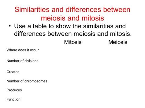 B27 Meiosis And Mitosis