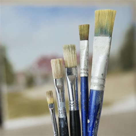 Which Types Of Hairs And Bristles Are Used In Paint Brushes Paint