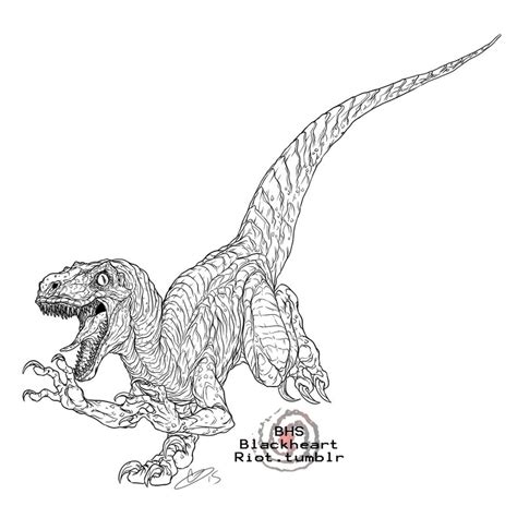 So if you don't color that water clean blue, the dinosaur is going to munch you off! Velociraptor Coloring Pages at GetColorings.com | Free ...