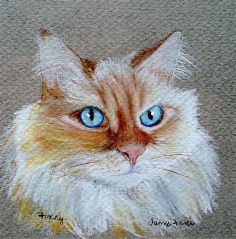 Siamese Cat Drawings Fine Art America