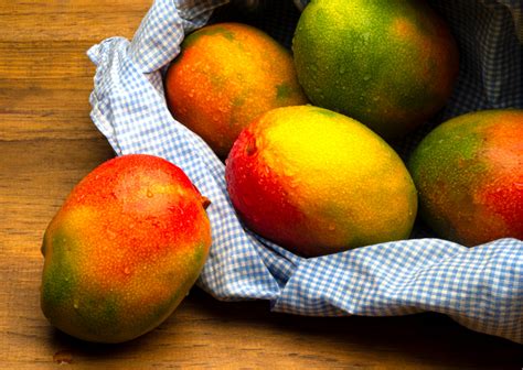Peru Rises To Worlds Fourth Largest Mango Exporter Agronometrics Stories