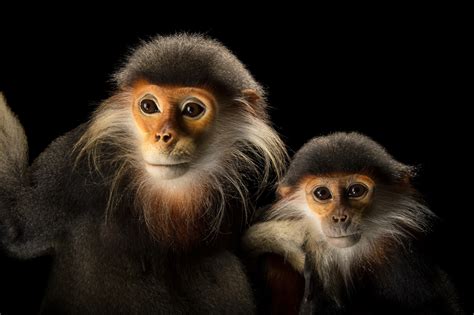 Ani040 00362 Joel Sartore