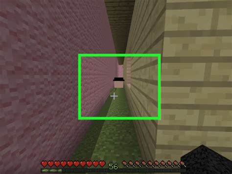 How To Play Hide And Seek In Minecraft 9 Steps With Pictures