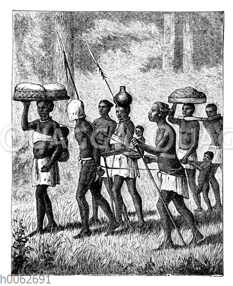 Gefesselte Sklaven Der Warua Quagga Illustrations