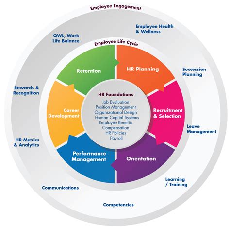 Human Resources Model Oec Strategic Solutions Gambaran