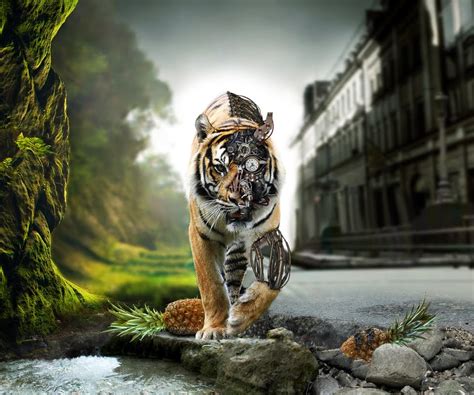 Animated Hd Tiger Tablet Pc Wallpapers Mobile Wallpapers