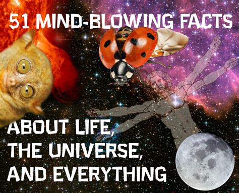 51 Mind Blowing Facts About Life The Universe And Everything Mind