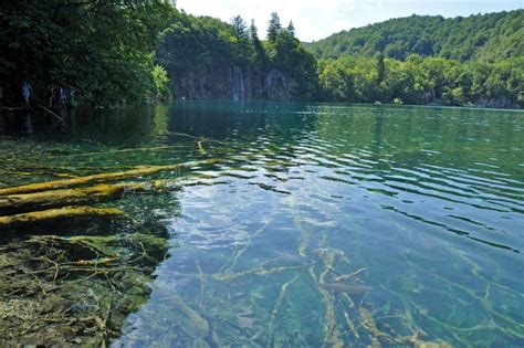 Turquoise Lake In Plitvice Croatia Stock Photo Image Of Protected