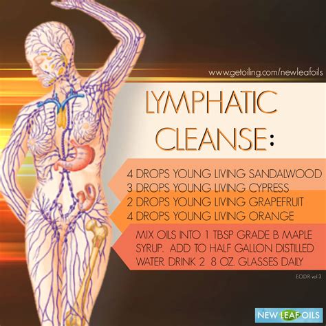 How To Support Lymphatic Drainage