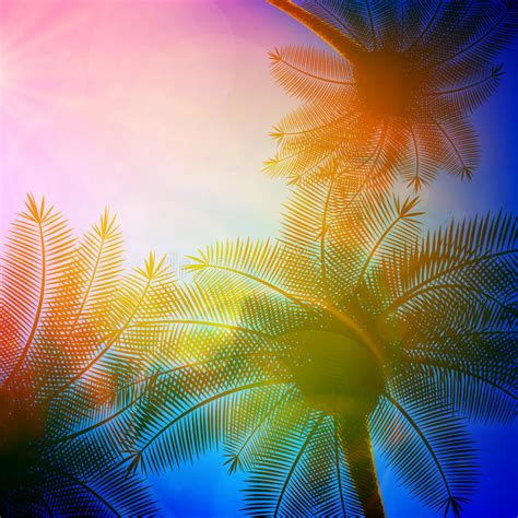 Palm Trees With Beautiful Sunset Stock Vector Illustration Of Coast