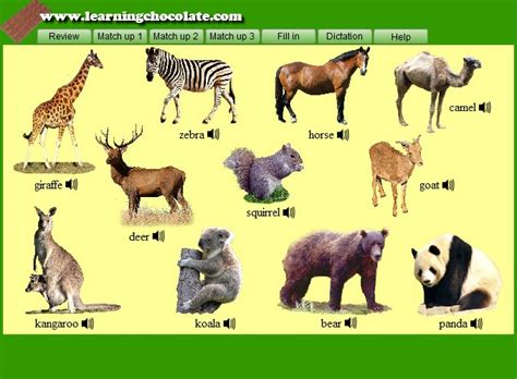 Zoo Animals English