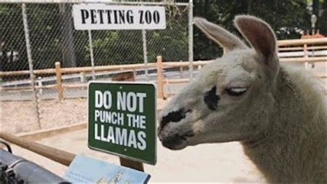 The 27 Funniest Zoo Signs Ever Gallery