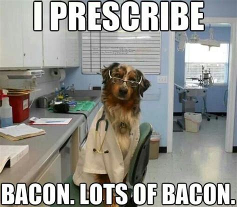 Funny Dog Dog Jokes Vet Tech Humor Veterinary Humor
