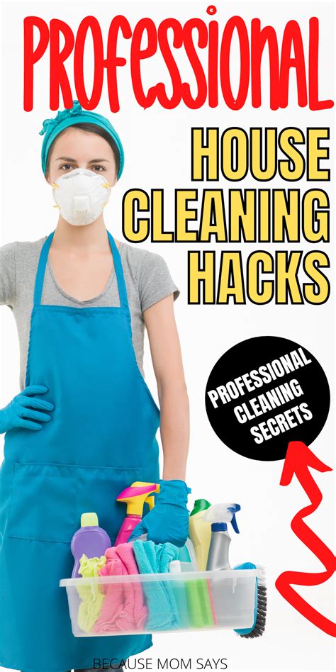 Top 10 Professional House Cleaning Hacks 2023 Professional House Cleaning House Cleaning