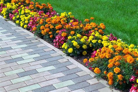 24 Walkway Ideas Designs Pictures And Tips For Your Front Or