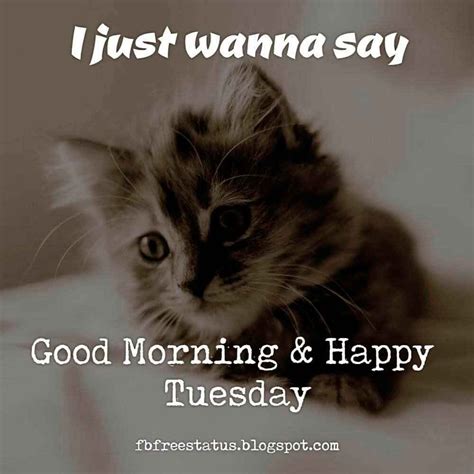 Happy Tuesday Quotes Funny Happy Tuesday To Share Funny 