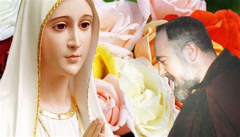 Padre Pio Era Innamorato Dellimmacolata Ed Era Sicuro Nel Rosario