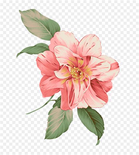 Bunga Pink Desain Grafis Gambar Png